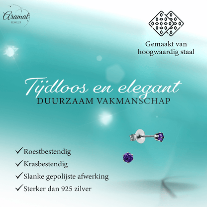 Zirkonia Oorbellen Paars – 3mm RVS - Aramat Jewels - Oorbellen - cadeautip