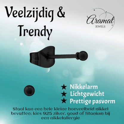 Zwarte Bolletjes Oorbellen 2mm - oor2722 - 13880 - Oorbellen kopen# - 2mm - alles - bolletjes