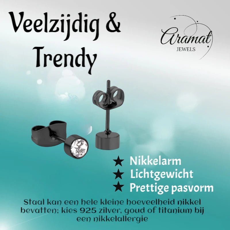 Zwarte Oorbellen met Kristal | 4mm Uniseks - oor3749 - Oorbellen kopen# - 4mm - alles