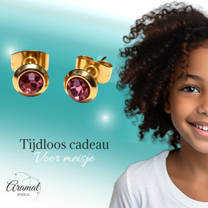 Zweerknopjes – RVS Goudkleurig met Roze Kristal (6mm) - Aramat Jewels - Oorbellen - cadeautip