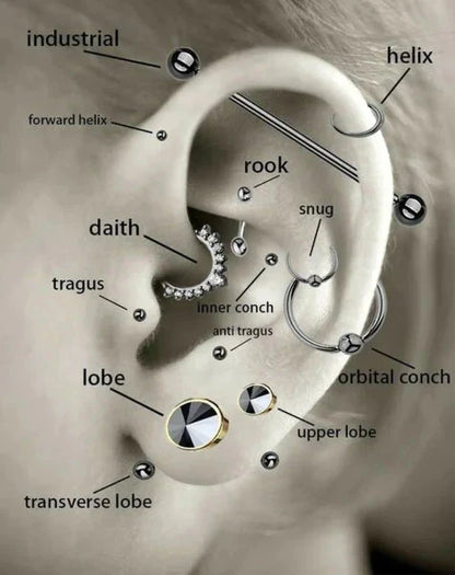 Diagram illustrating the placement of 8mm Helix Piercing Vierkant Rood Zirkonia on the ear
