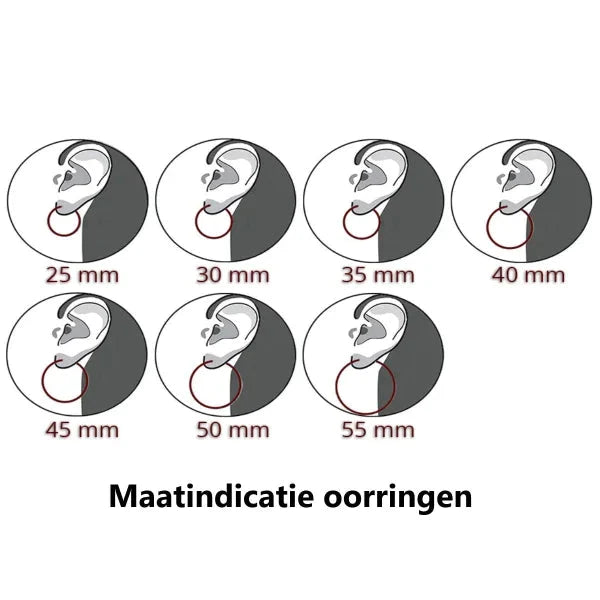 Zilveren Oorringetjes 12mm Met Bedel 12mm alles dames factory-outlet geboortesteen gedraaid Geen oormodel Geen_Parel kinderen Meerdere kleuren Meerdere Maten Meerdere Varianten Met_hanger Met_steen oorbellen Oorringen oorringetjes silver Soort sieraad_Oorringen transparant Volwassenen zilver zirkonia