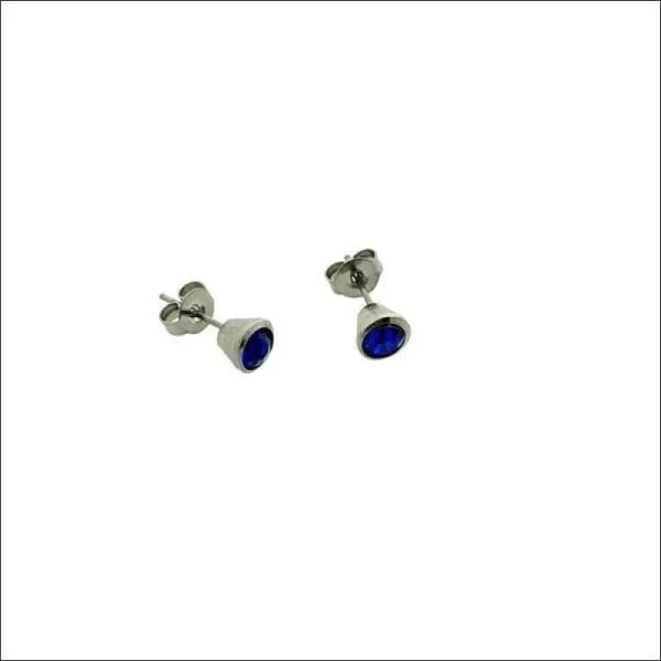 Oorbellen Donker Blauw Kristal Chirurgisch Staal 6mm alles blauw chirurgisch staal dames Geen hanger Geen oormodel Geen_Parel kristal Met_steen oorbellen PVD Soort sieraad_Oorbellen Staal Volwassenen zilverkleurig zweerknopjes