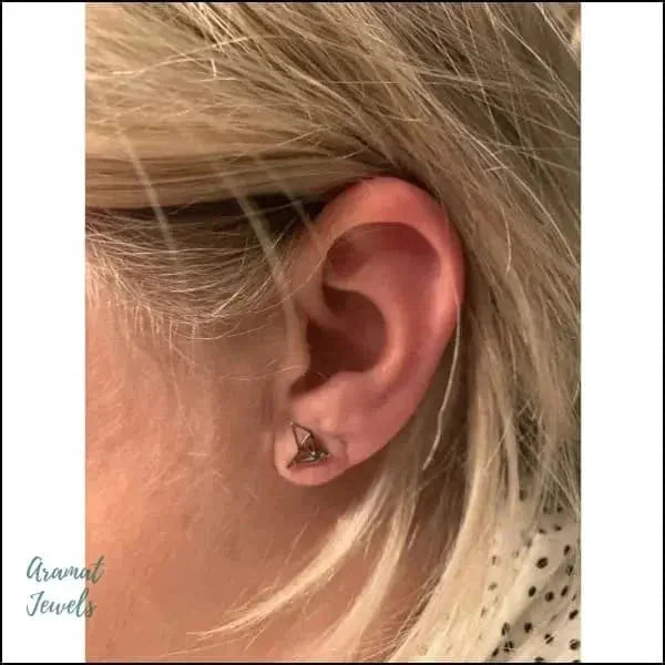 Oorbellen Zweerknopjes Origami Vogel Staal 9mm alles Aramat Jewels chirurgisch staal dames dier Geen edelsteen Geen hanger Goud kleur goudkleurig kinderen Meerdere kleuren Nieuw oorbellen oormodel PVD rosékleurig smjell Staal Video Volwassenen zilverkleurig zonder steen Zonder_steen zwart zweerknopjes